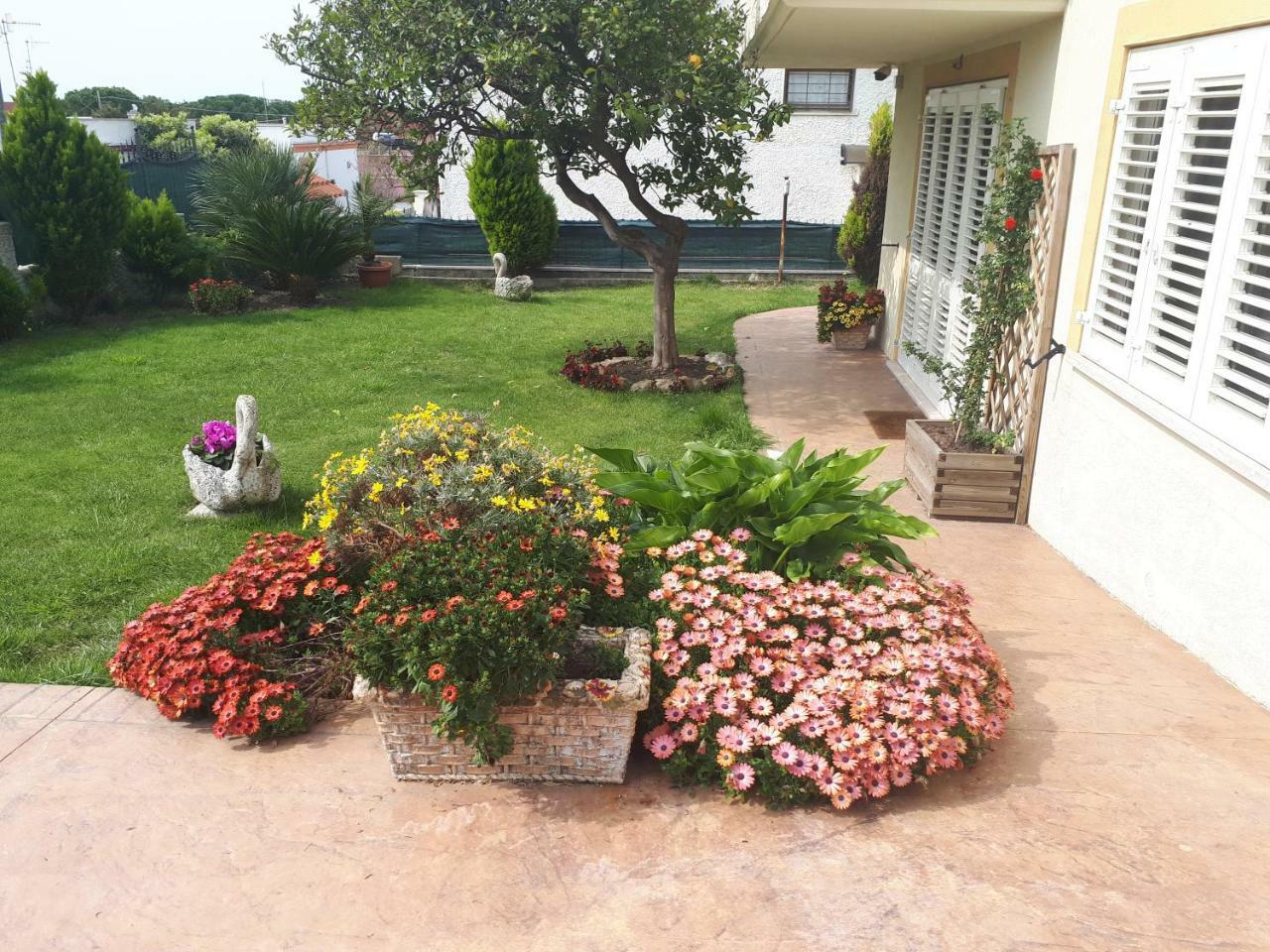 Bed & Breakfast Angolo Fiorito *
